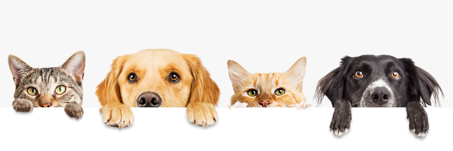Tierarzt Header v2
